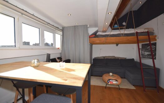 Appartement à louer  31 m², 1150 €