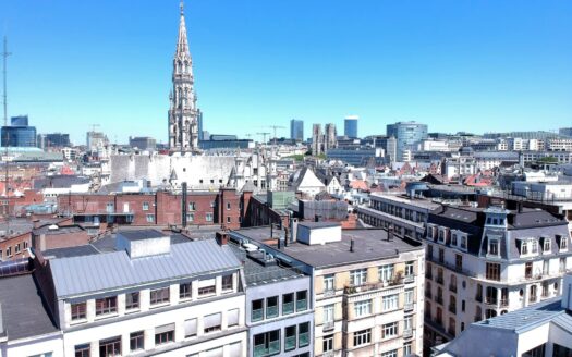 Commerce à vendre  1500 m², 4000000 €
